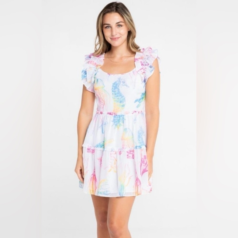 NWT Alden Adair Amora Dress- Color Pacific Size Small